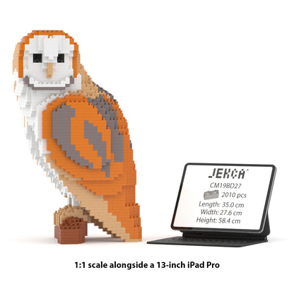 Barn Owl 01