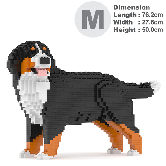 Bernese Mountain Dog 03B