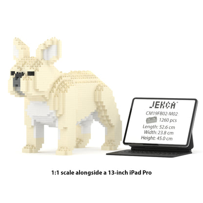 French Bulldog 02-M02