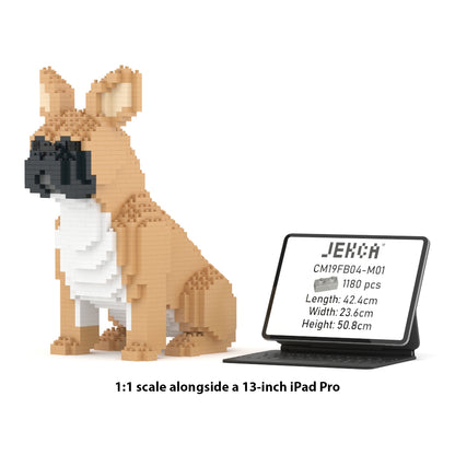 French Bulldog 04-M01