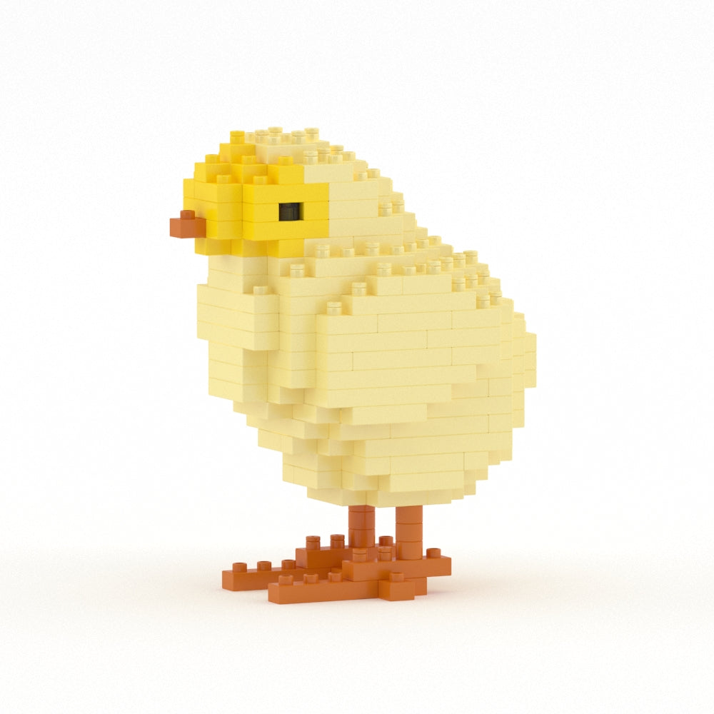 Chick 01