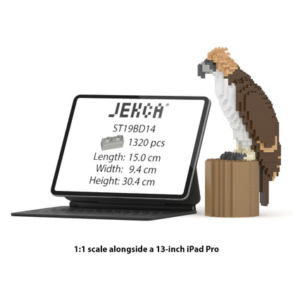 Philippine eagle 01