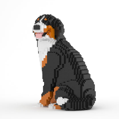 Bernese Mountain Dog 05B