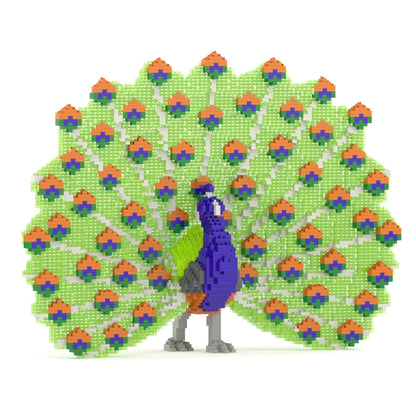 Peacock 01