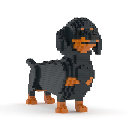 Dachshund 02-M01