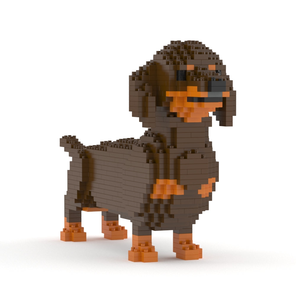 Dachshund 02-M02