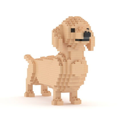 Dachshund 02-M03