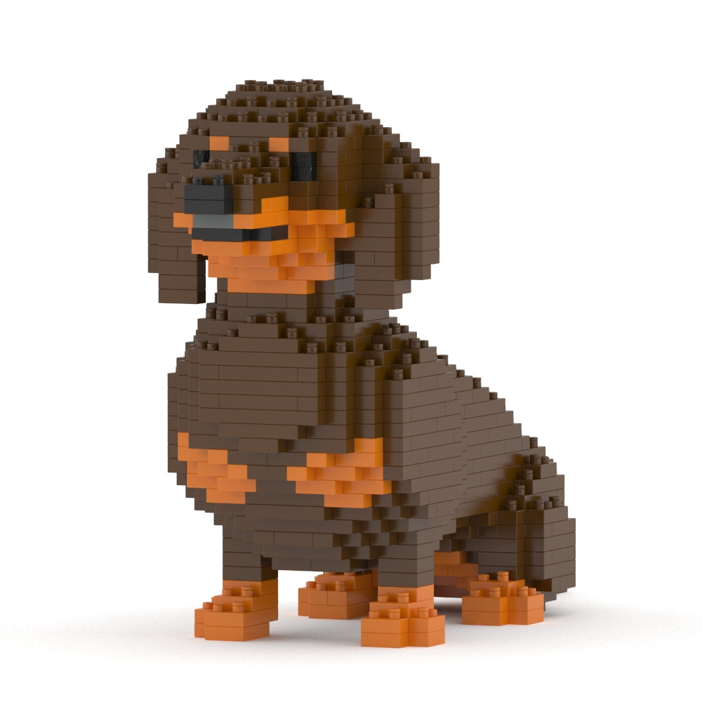 Dachshund 03-M02