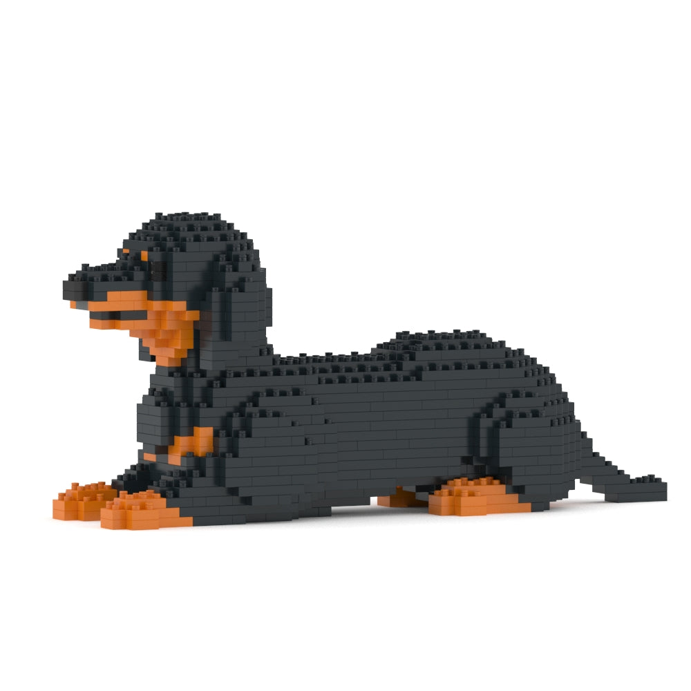 Dachshund 04-M01