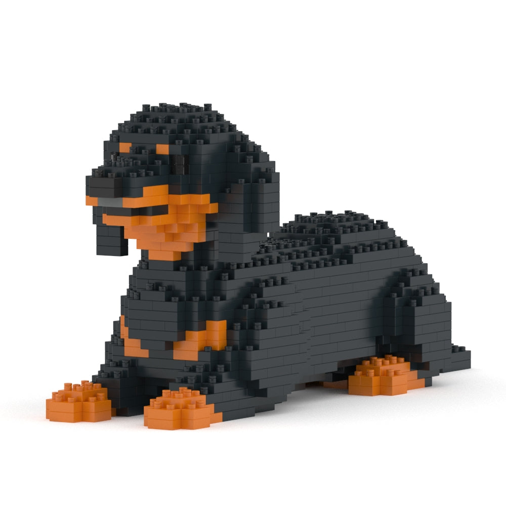 Dachshund 04-M01