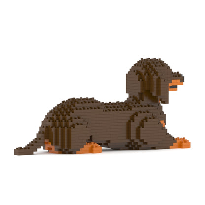 Dachshund 04-M02