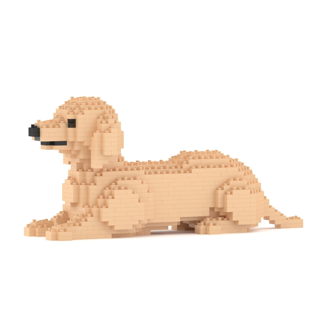 Dachshund 04-M03