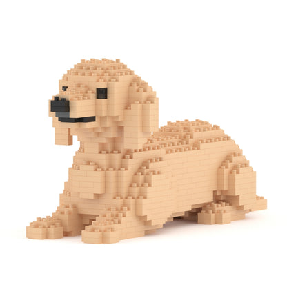 Dachshund 04-M03