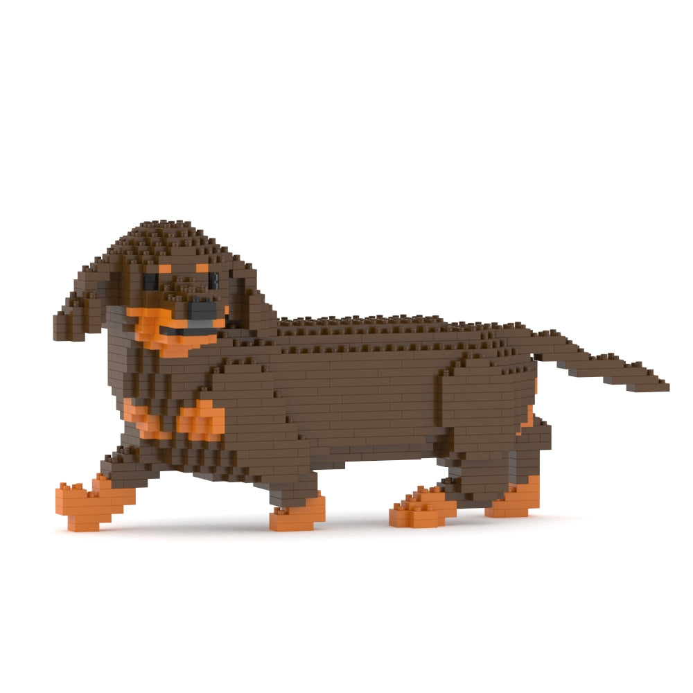 Dachshund 06-M02