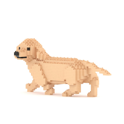 Dachshund 06-M03