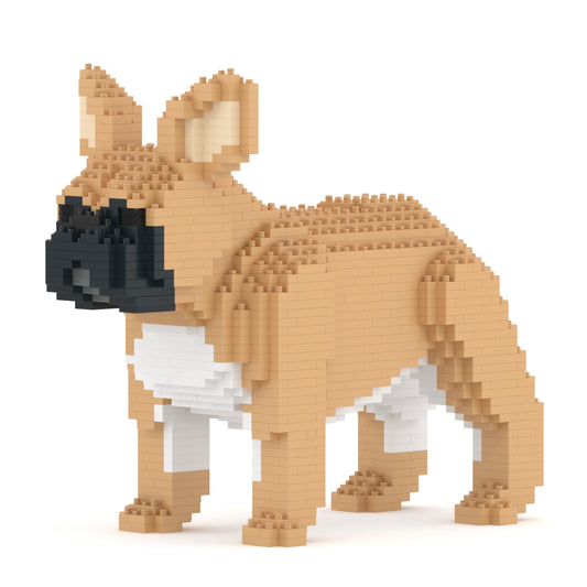 French Bulldog 02-M01