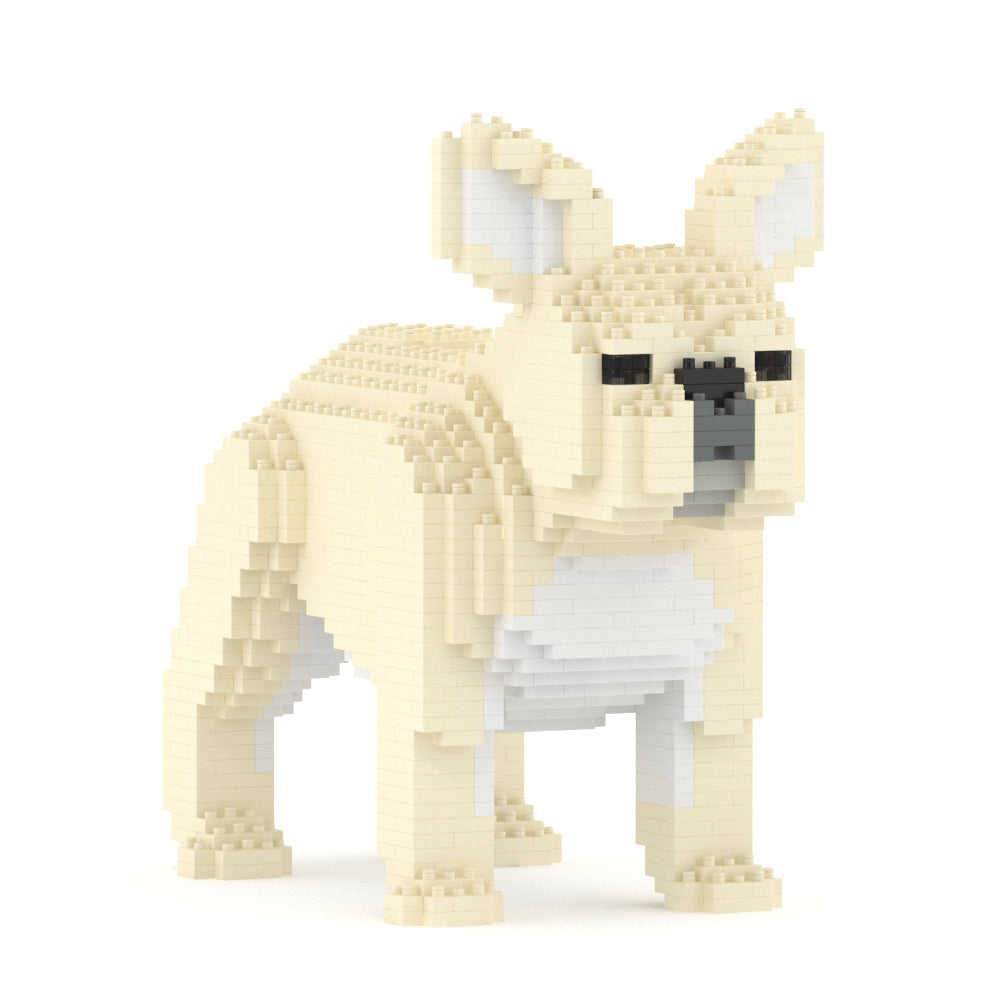 French Bulldog 02-M02