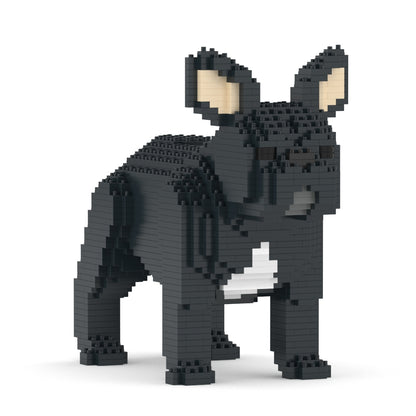 French Bulldog 02-M03