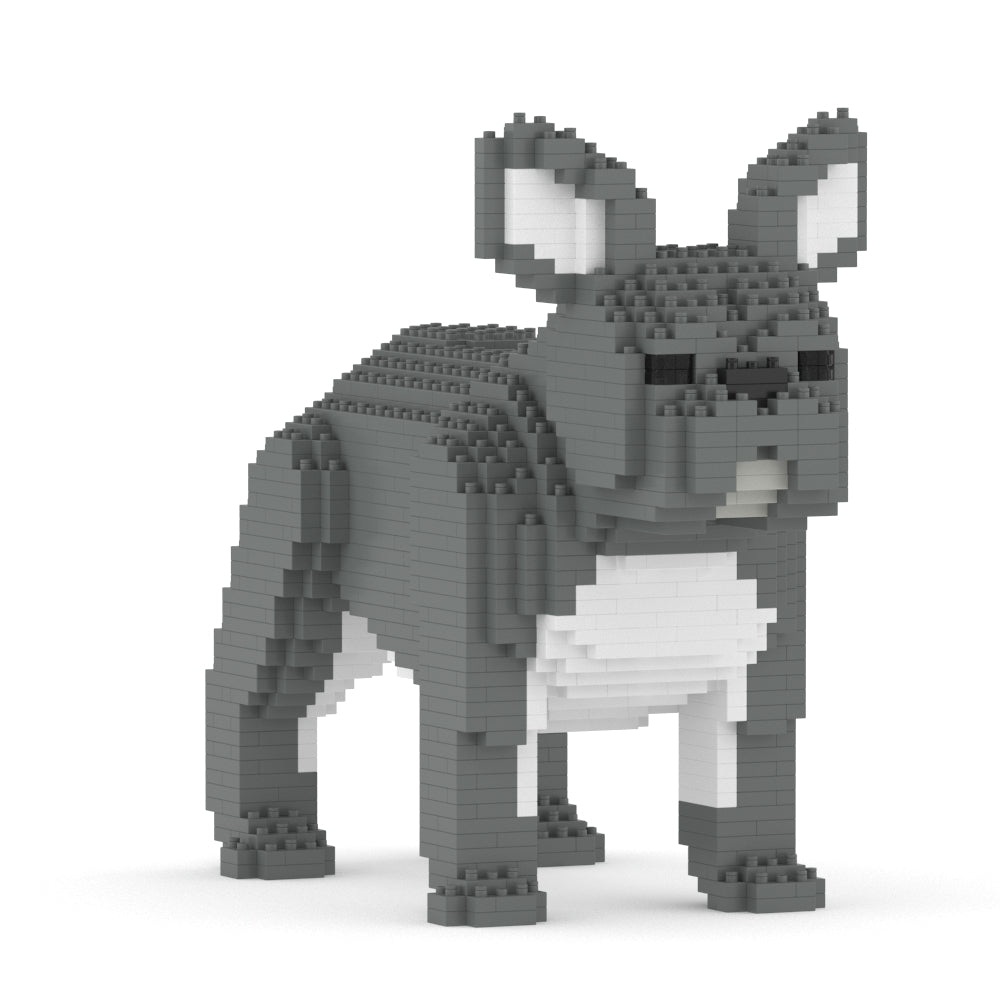 French Bulldog 02-M05