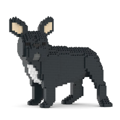 French Bulldog 03-M03