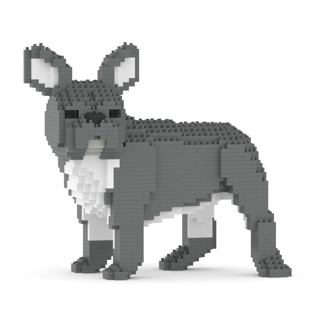 French Bulldog 03-M05