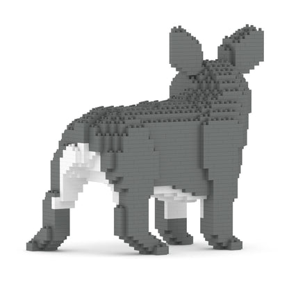 French Bulldog 03-M05