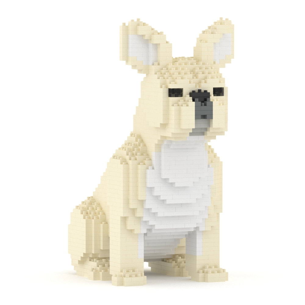 French Bulldog 04-M02