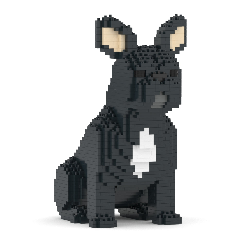 French Bulldog 04-M03