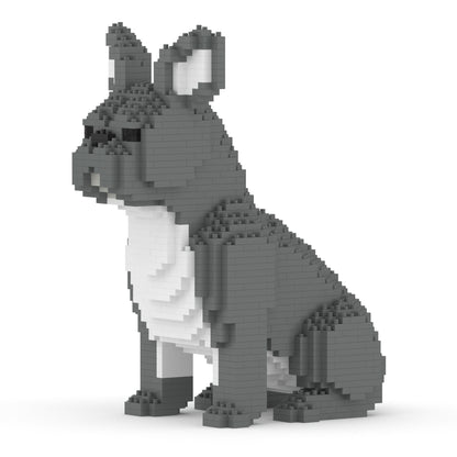 French Bulldog 04-M05