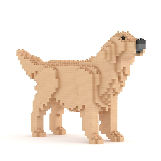 Golden Retriever 02-M03