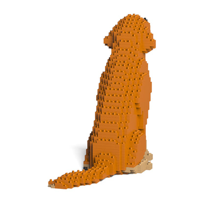 Golden Retriever 03-M02