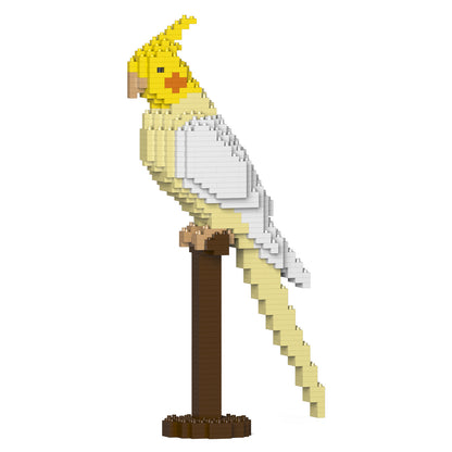 Cockatiel 01S