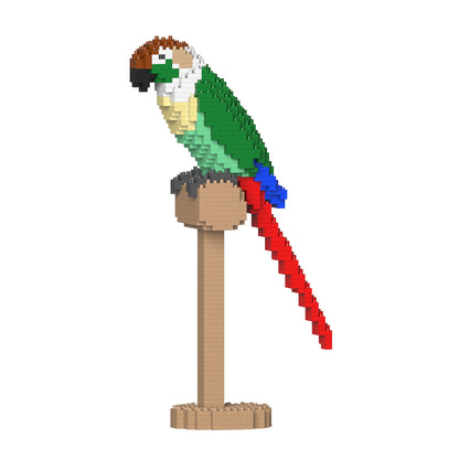 Green Cheek Conure 01S-M01