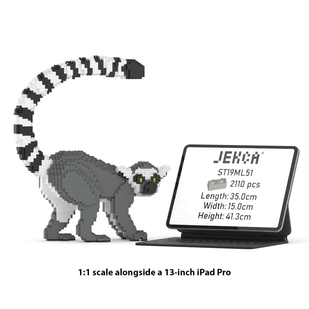 Lemur 01