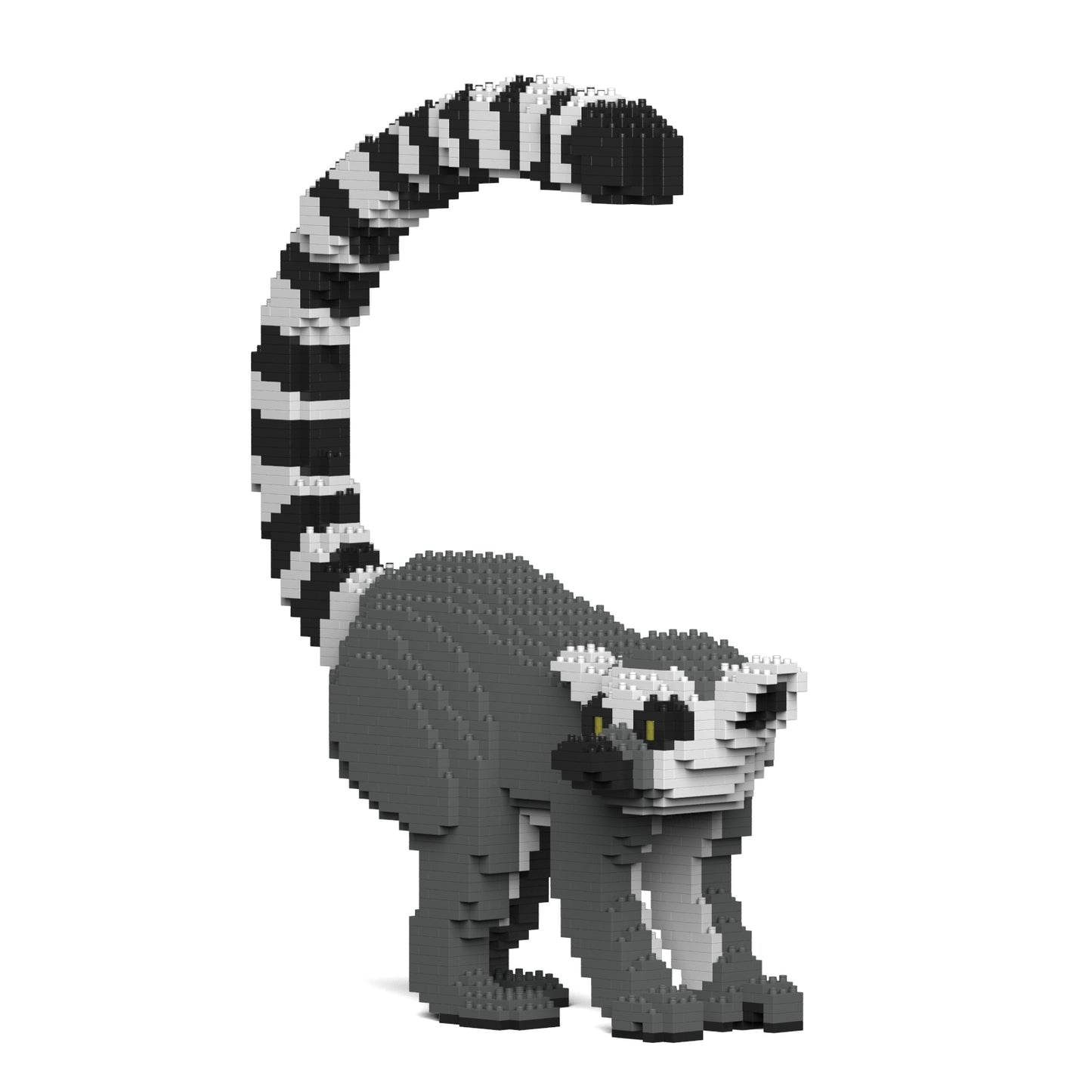 Lemur 01