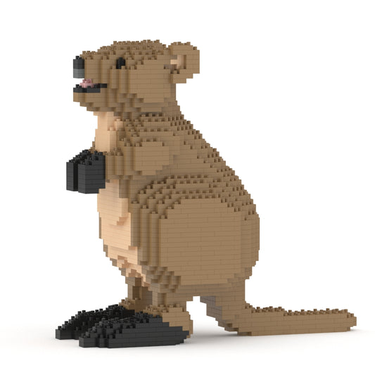 Quokka 01