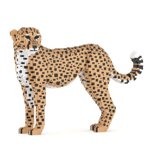 Cheetah 01