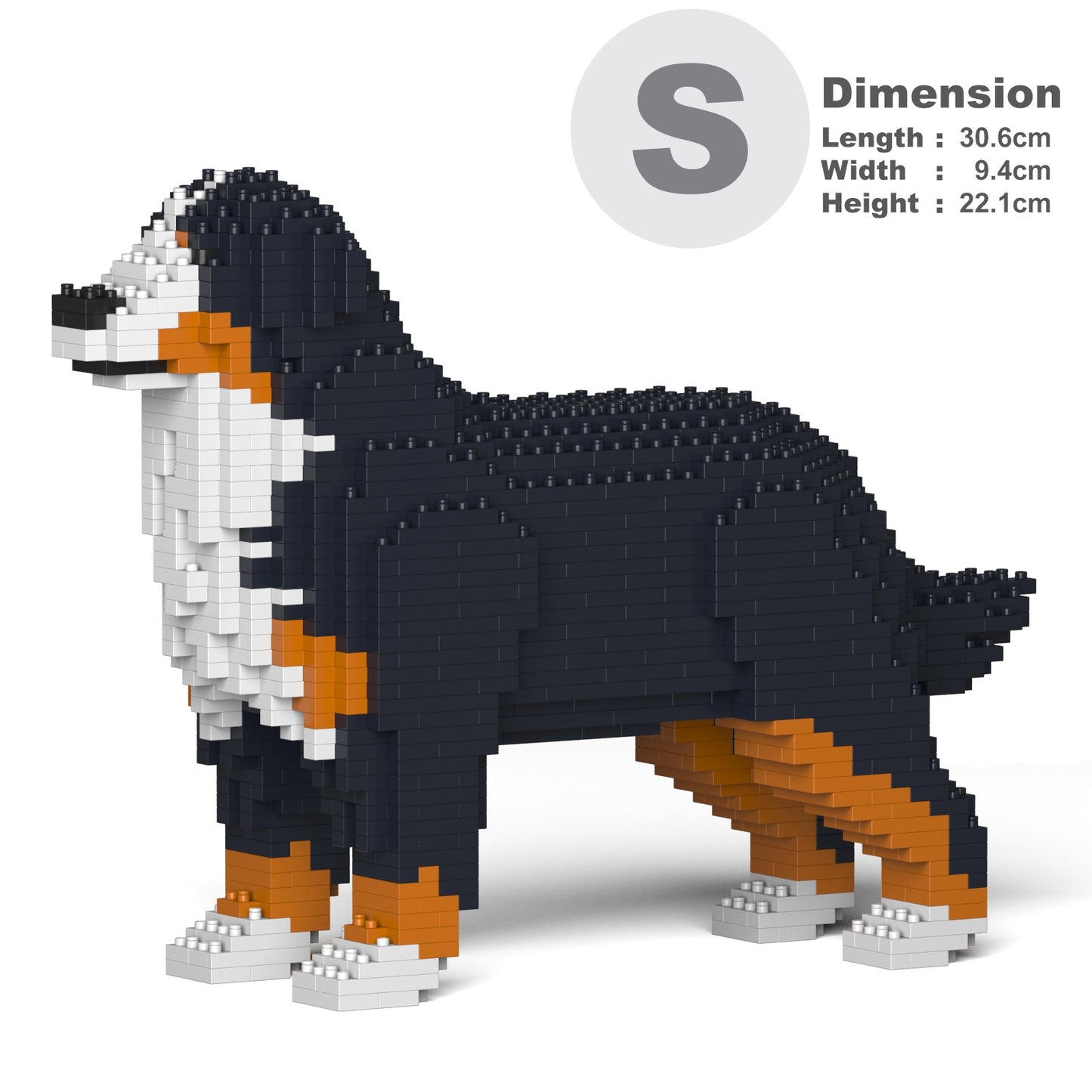 Bernese Mountain Dog 01S