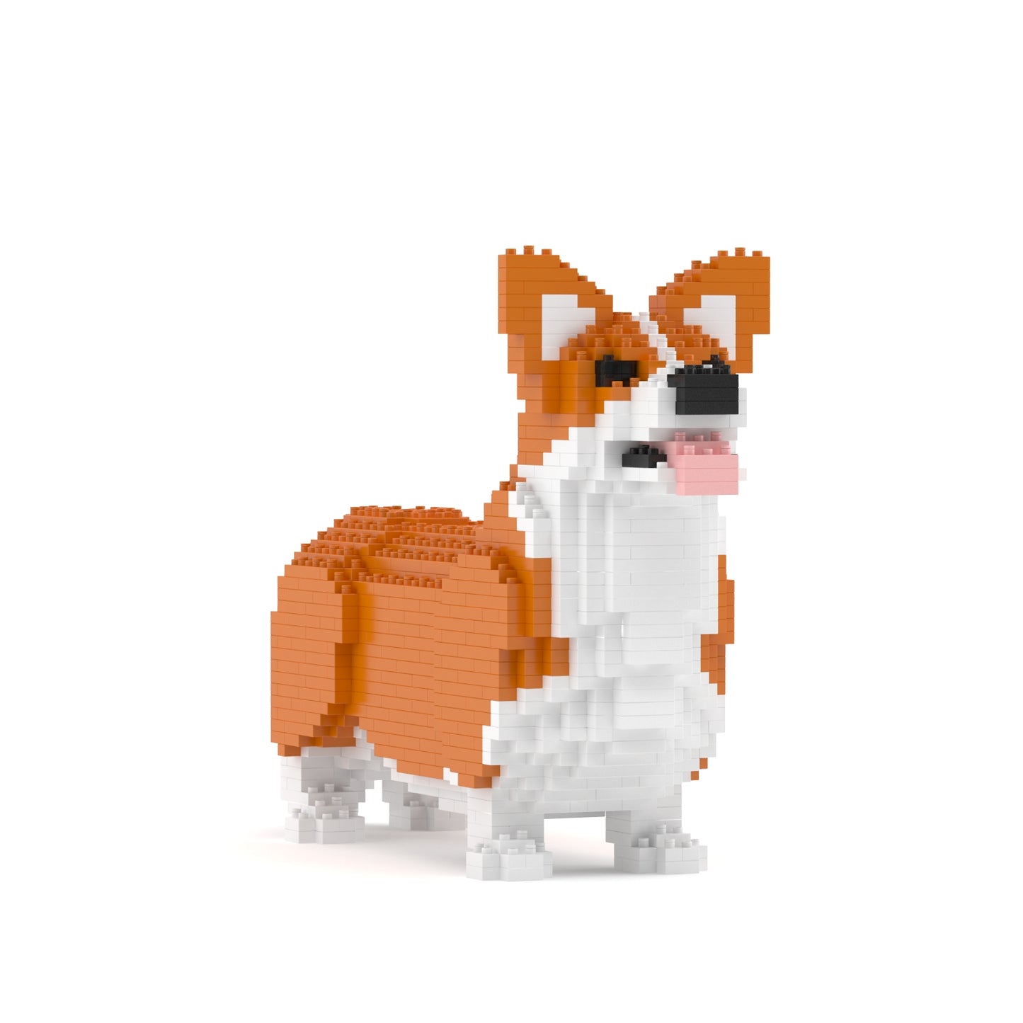 Welsh Corgi 02-M01B