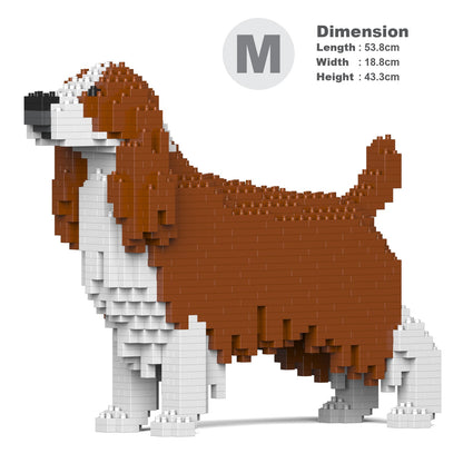 English Springer Spaniel 01-M01