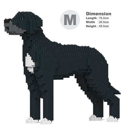 Great Dane 01-M02