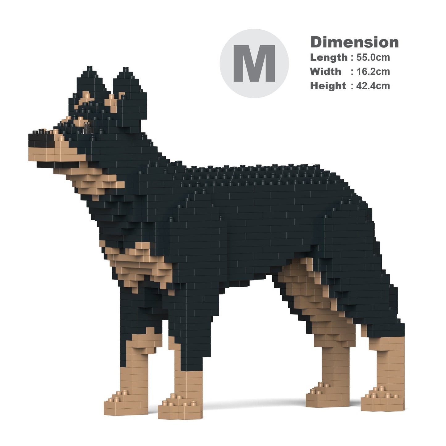 Australian Kelpie 01-M01