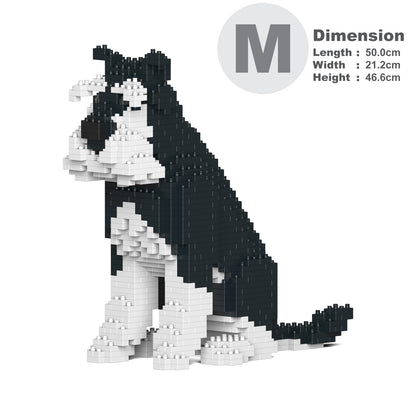 Standard Schnauzer 04-M02