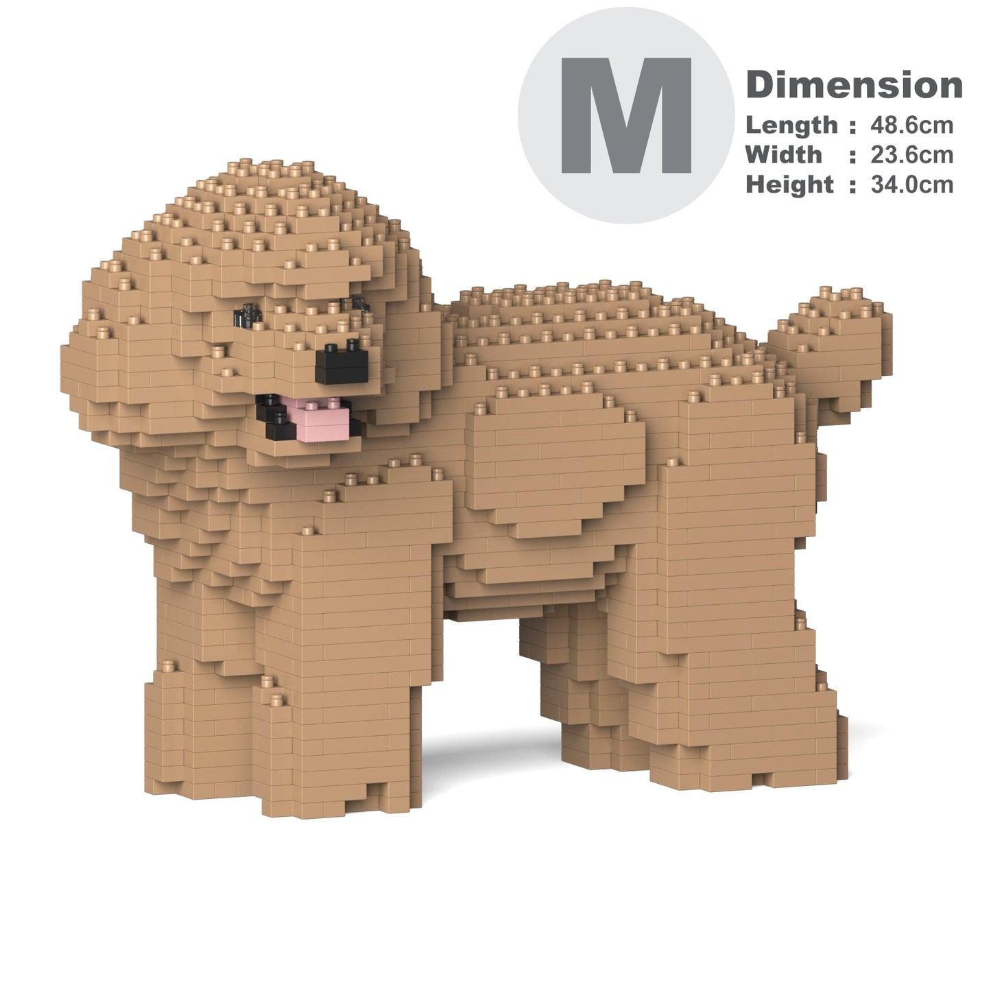 Toy Poodle 05-M03