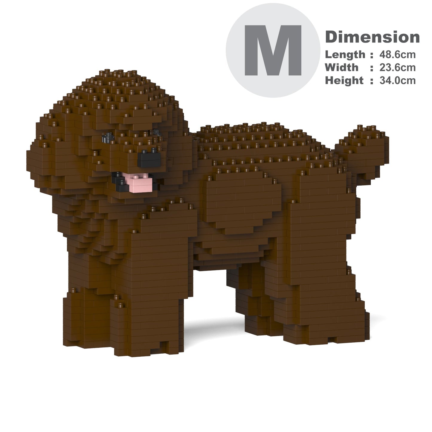 Toy Poodle 05-M05