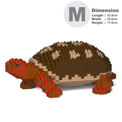 Red-footed Tortoise 01