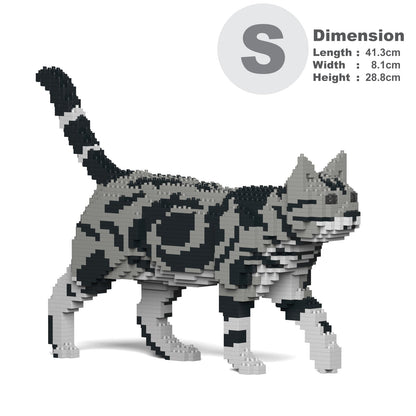 American Shorthair Cat 02S-M01