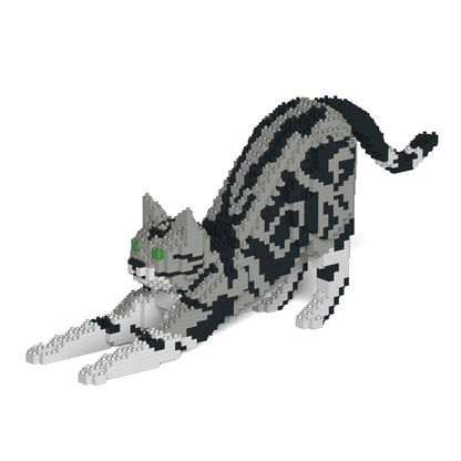 American Shorthair Cat 04S-M01