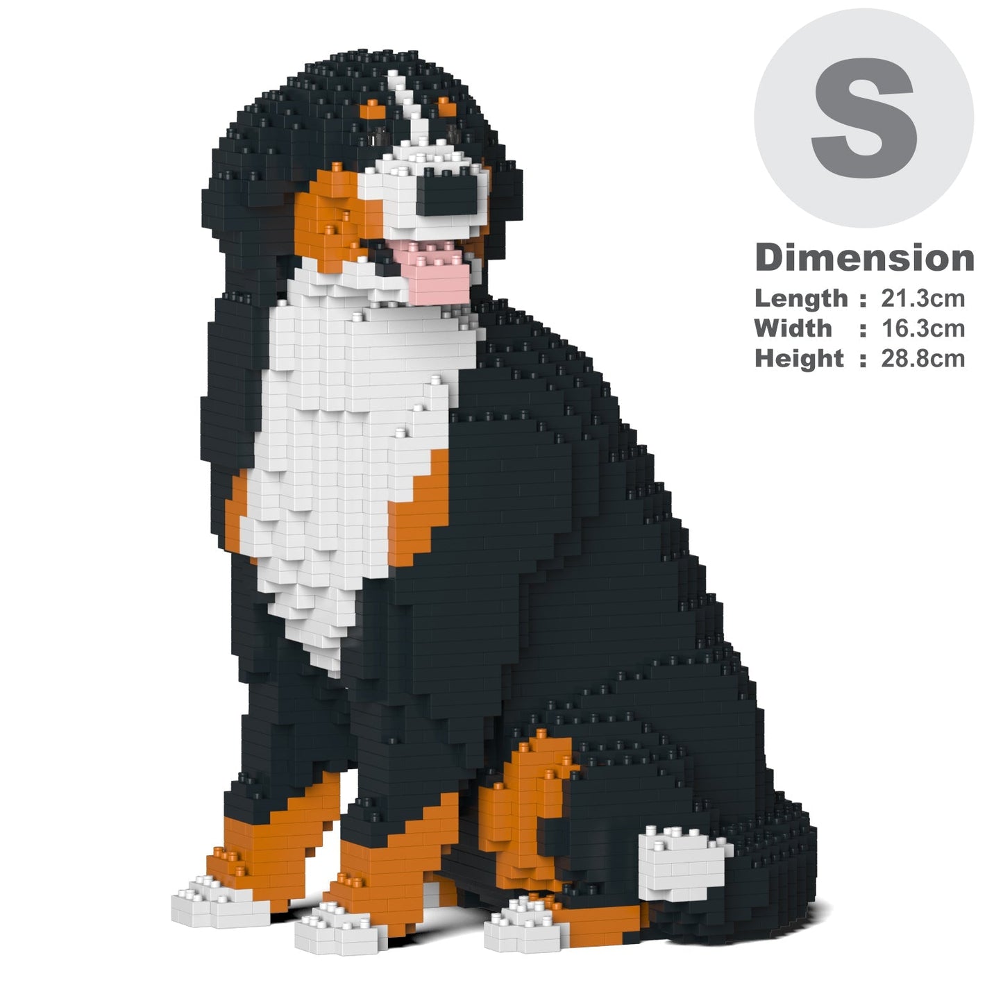 Bernese Mountain Dog 05