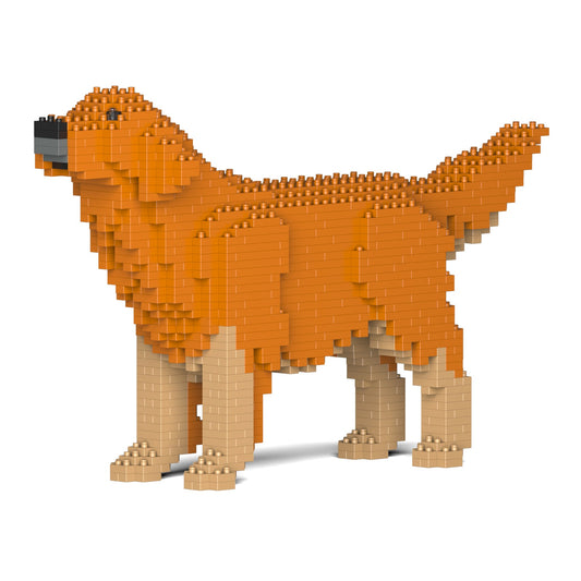 Golden Retriever 02-M02